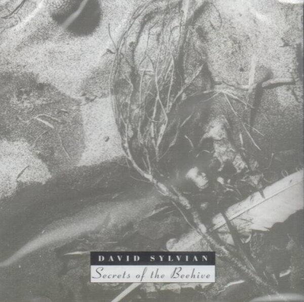 SYLVIAN, DAVID - Secrets Of The Beehive