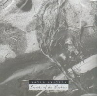 SYLVIAN, DAVID - Secrets Of The Beehive